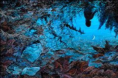 Acrylic and Gouache Painting Illustration